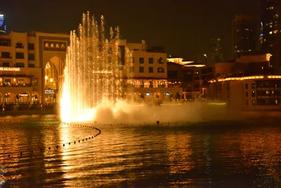 DSC_4135 (Large).JPG